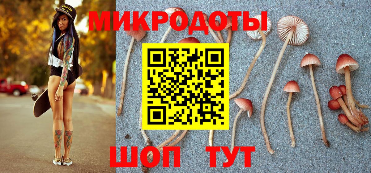 Галлюциногенные грибы ЛСД Кинель